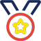 tricolor medal icon